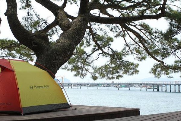 Top Destinations pour des Vacances en Bord de Mer: Les Meilleurs Campings à Découvrir